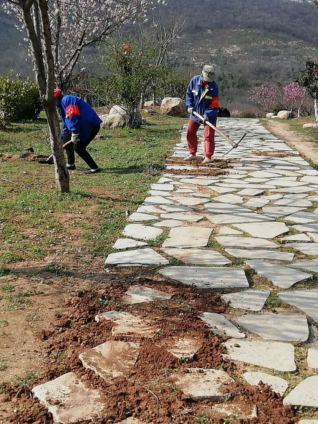 老山风景区响堂桃园谷物业服务